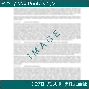 グローバルリサーチ調査資料のイメージ